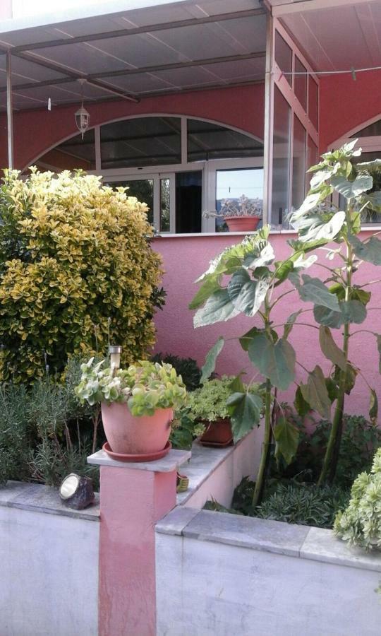 Apartments Ana Buratovic Stari Grad  Exterior photo